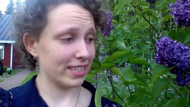 Andetag vlogg: "Syringa vulgaris" смотреть онлайн