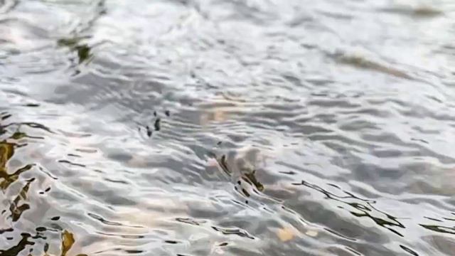 Стихи про ручеек смотреть онлайн