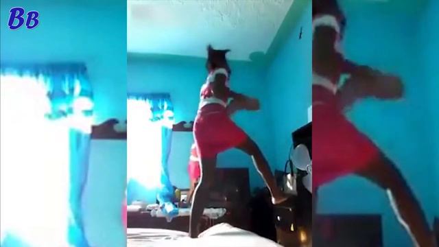 Неудачница пыталась Избавиться от Ящерицы и Сильно Испугалась смотреть онлайн