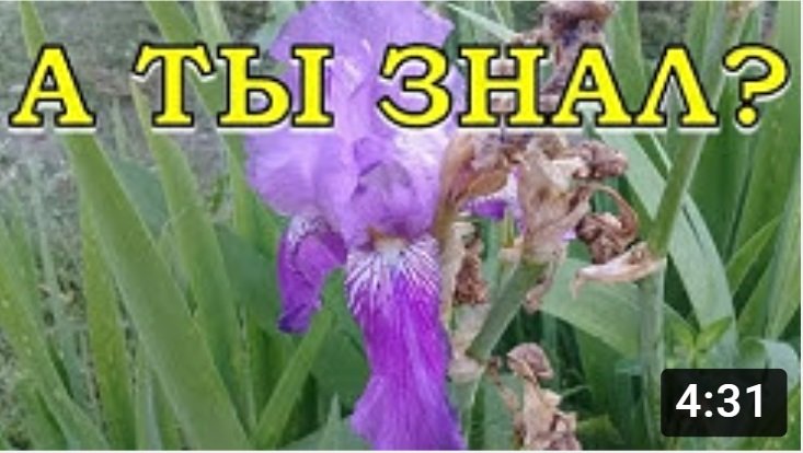 А ты знал?