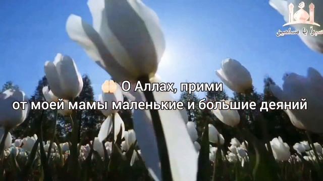 Красивое дуа за маму (с переводом) смотреть онлайн