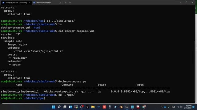 Nginx Proxy Manager สร้าง Self-signed certificate ใช้เอง смотреть онлайн