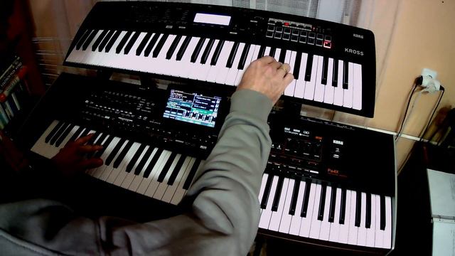 Anniversary Waltz - Évforduló Keringő - Betli Duó / KORG Pa4X Pro & KORG KROSS 61 Cover by Johnny смотреть онлайн