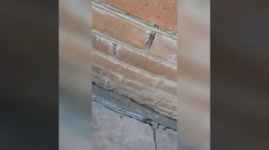 Как быстро и с подручных средств сделать заземление в частном доме