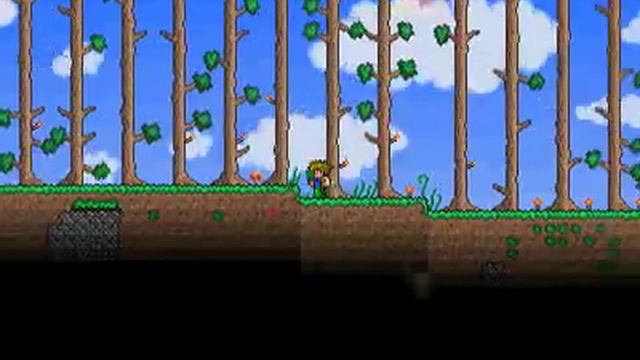 Terraria Server Tour смотреть онлайн
