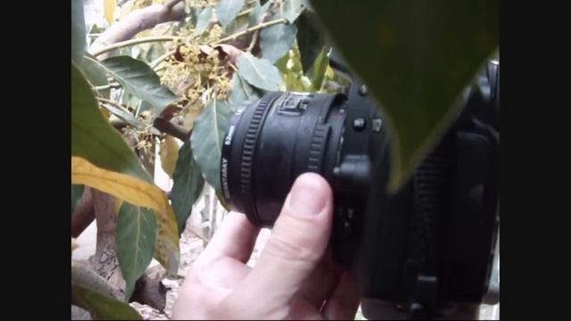 Nikon D90 Movie Tutorial