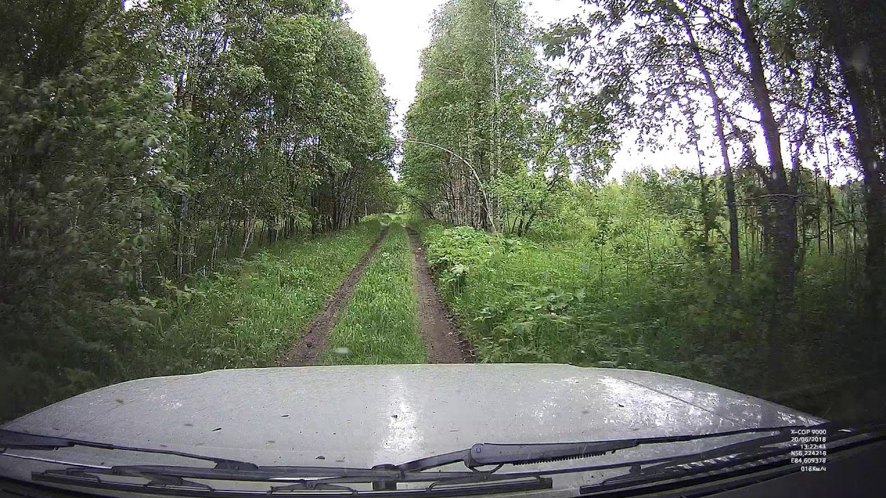 Дорога на Госконюшню на УАЗ Патриот