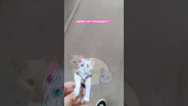 прогулка с Беляшом. #БумажныеЖивотные#реки смотреть онлайн