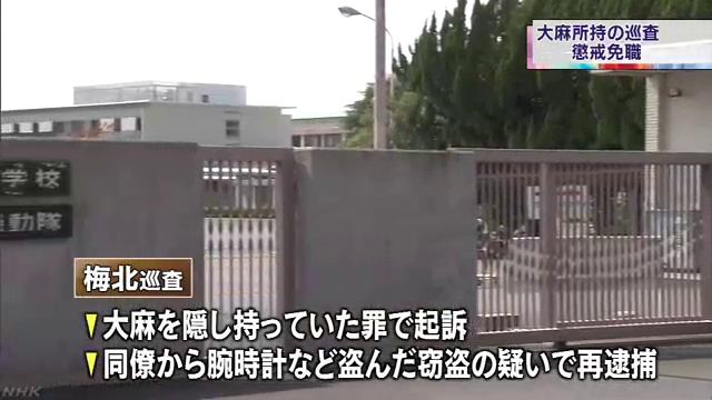 大麻所持と窃盗の罪 京都府警新人巡査を免職 смотреть онлайн