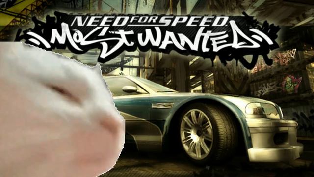 jam cat let's move(nfs mw) смотреть онлайн