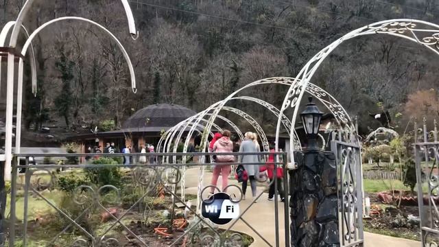 Кафе Лыхны. Абхазия. Экскурсия по достопримечательностям Абхазии. Отдыхаем. смотреть онлайн