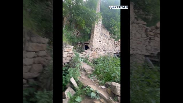 Часть 4 Дагестан Гамсутль