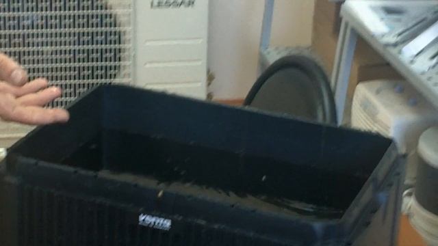 Увлажнитель воздуха, мойка воздуха Venta Нижний Новгород смотреть онлайн