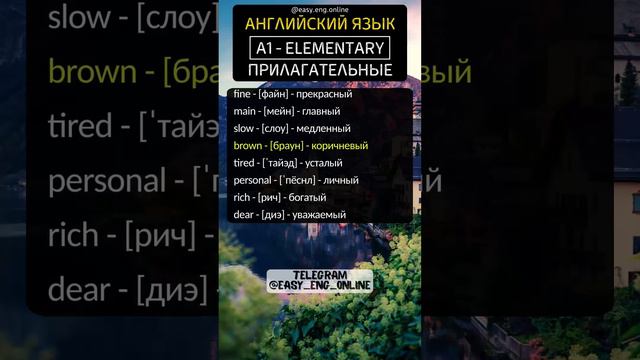 ⭐🇬🇧ПРИЛАГАТЕЛЬНЫЕ - A1 | ELEMENTARY (№24)🔖Английские слова которые должен знать каждый⭐ смотреть онлайн