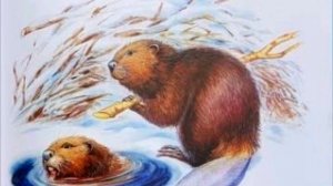 Н.И.Сладков  сказка "Бюро лесных услуг"