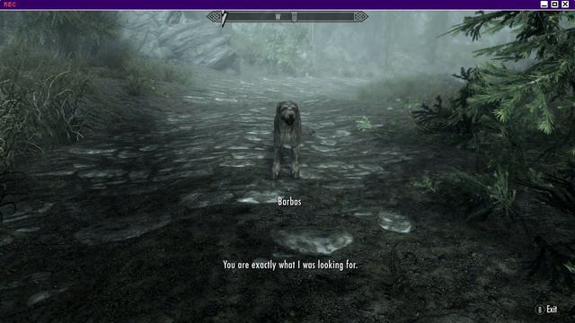 I Find Barbas the Talking Dog!!! смотреть онлайн