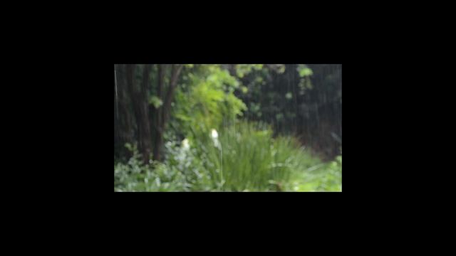 Музыка для сна и медитации. Спокойная и расслабляющая музыка. смотреть онлайн