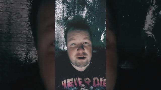 Сниму штаны и покажу букет от девушки #юмор #стихи #приколы #угар #трэш #хаха #шутки смотреть онлайн