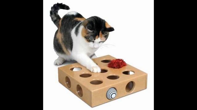 игрушки для кошек смотреть онлайн
