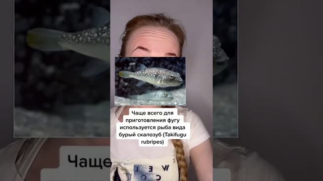 Рыба фугу. Блюдо или вид рыбы? смотреть онлайн