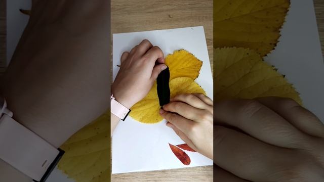 Аплікація з листя " Метелик" ?. Робимо яскравого метелика з осіннього листя|Розвиток для дітей смотреть онлайн