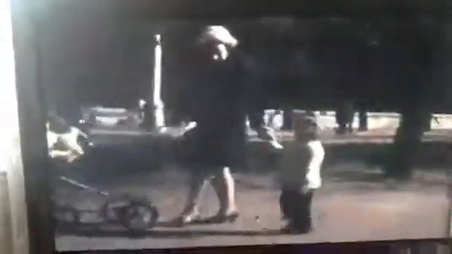 Семья Вдовиченко