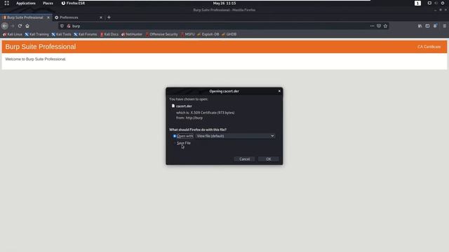 Intercept Burp Suite Traffic on Kali Linux смотреть онлайн