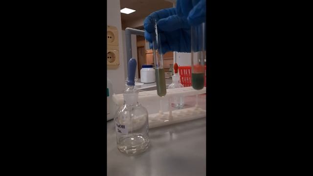 Получение гидроксида железа II и изучение его свойств смотреть онлайн