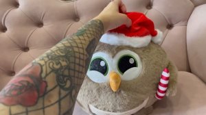 Обзор совушек DORMEO/совиная семья/эмоциональные совы/поющая сова