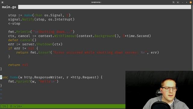 Working on an SSL certificate library in Golang | Twitch stream смотреть онлайн