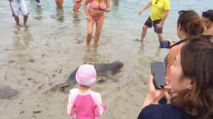 FloridaYalta в купальнике. Обалденная фигура Людмилы Флорида-Ялта.