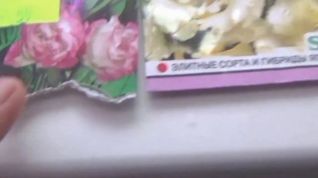 Посадка семян с Алиэкспресс,сюрприз от японской селекции смотреть онлайн