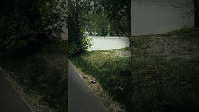 28 мая 2023 г. смотреть онлайн