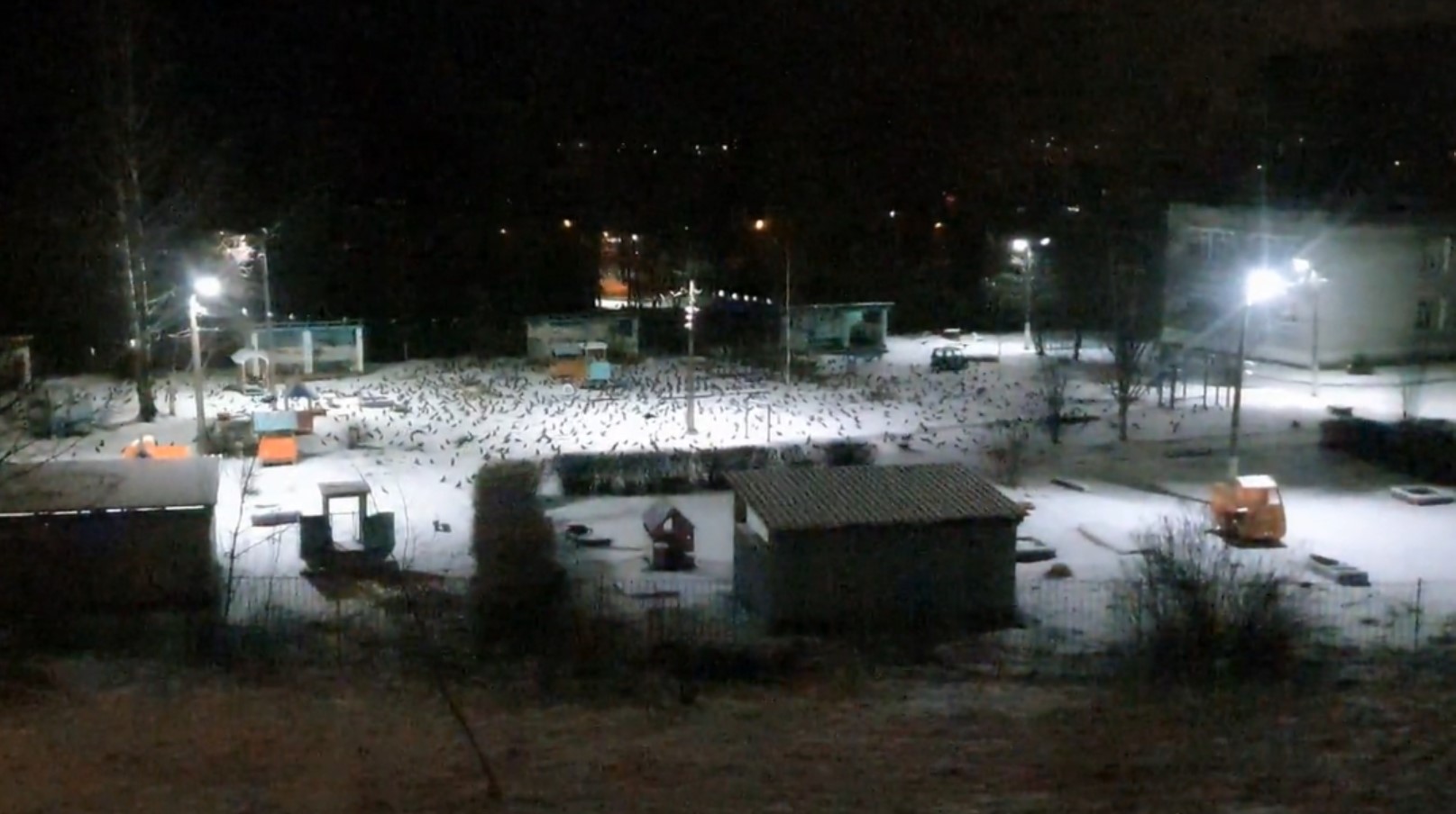 Собрание ворон в садике! смотреть онлайн