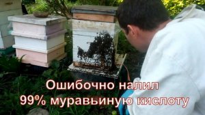 Обработка пчёл муравьиной кислотой от клещей Вароа. Эксперименты с дозировкой и концентрацией.