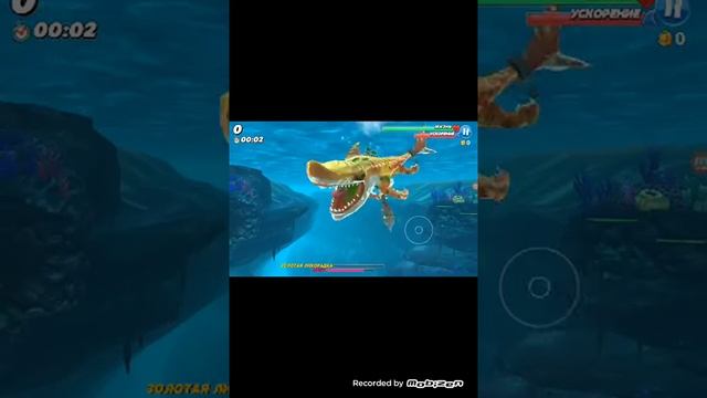 Обзор игры хангри шарк