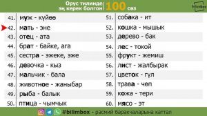 #1 Кыргызча орусча словарь 100 сөз