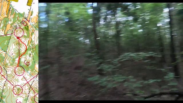 Headcam Orienteering (Ориентирование Беларуси) Чемпионат Беларуси. Средняя дистанция. 2023-08-03