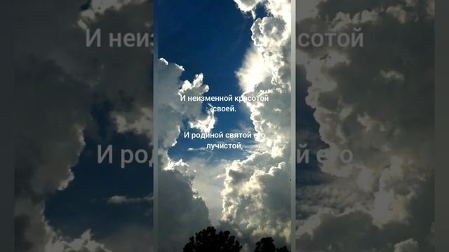 "Я снова в небо взор свой направляю", стихотворение. смотреть онлайн