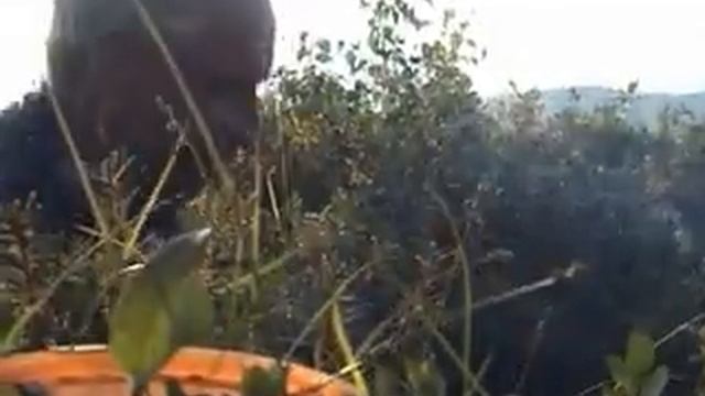 Другая Камчатка 08 смотреть онлайн