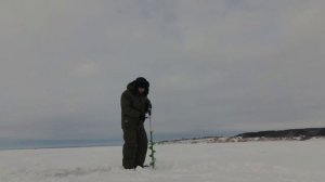 Зимняя рыбалка на Каме. Шуран. Ловля на раттлины.