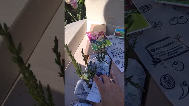 Отзыв Агромаркет ( вiдгук) смотреть онлайн