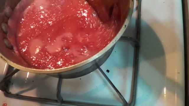 Cornelian Cherry Review (+ Sharbat Recipe) - Weird Fruit Explorer Ep. 112