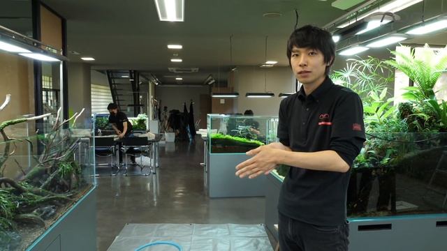 [ADAview] Fall Colors Under the Water 水の中の紅葉 - W180cm Aquarium Layout -【EN/JP Sub.】 смотреть онлайн