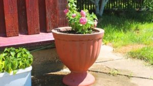 БЕТОННЫЕ ВАЗОНЫ своими руками / Весь процесс изготовления