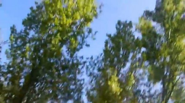 Casa de campo-Madrid Río