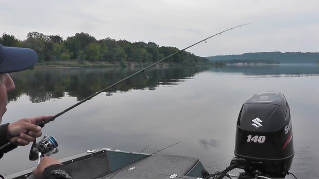 Ловля ОКУНЯ и ЖЕРЕХА на тейл спиннеры и пилькеры. #LiveSL N7. смотреть онлайн