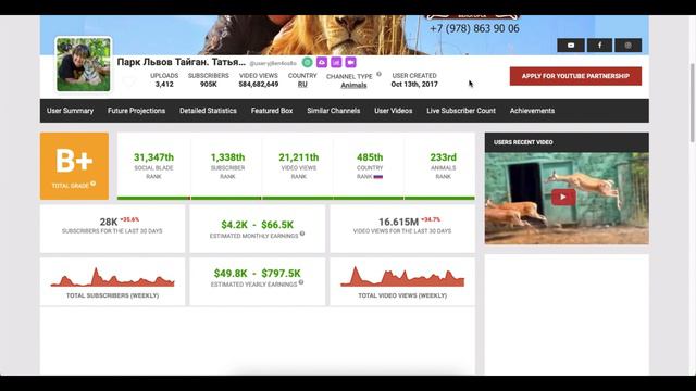 Парк Львов Тайган Татьяна Алексагина Доход канала с монетизации контента на Ютубе смотреть онлайн