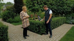 Живая изгородь из гортензии. Ландшафтный дизайн участка. Создаем живой забор.