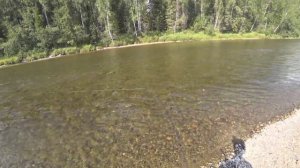 РЫБАЛКА НА ХАРИУСА. СЕВЕРНЫЙ УРАЛ.  ДРУЖНАЯ КОМПАНИЯ.  ЧАСТЬ 3